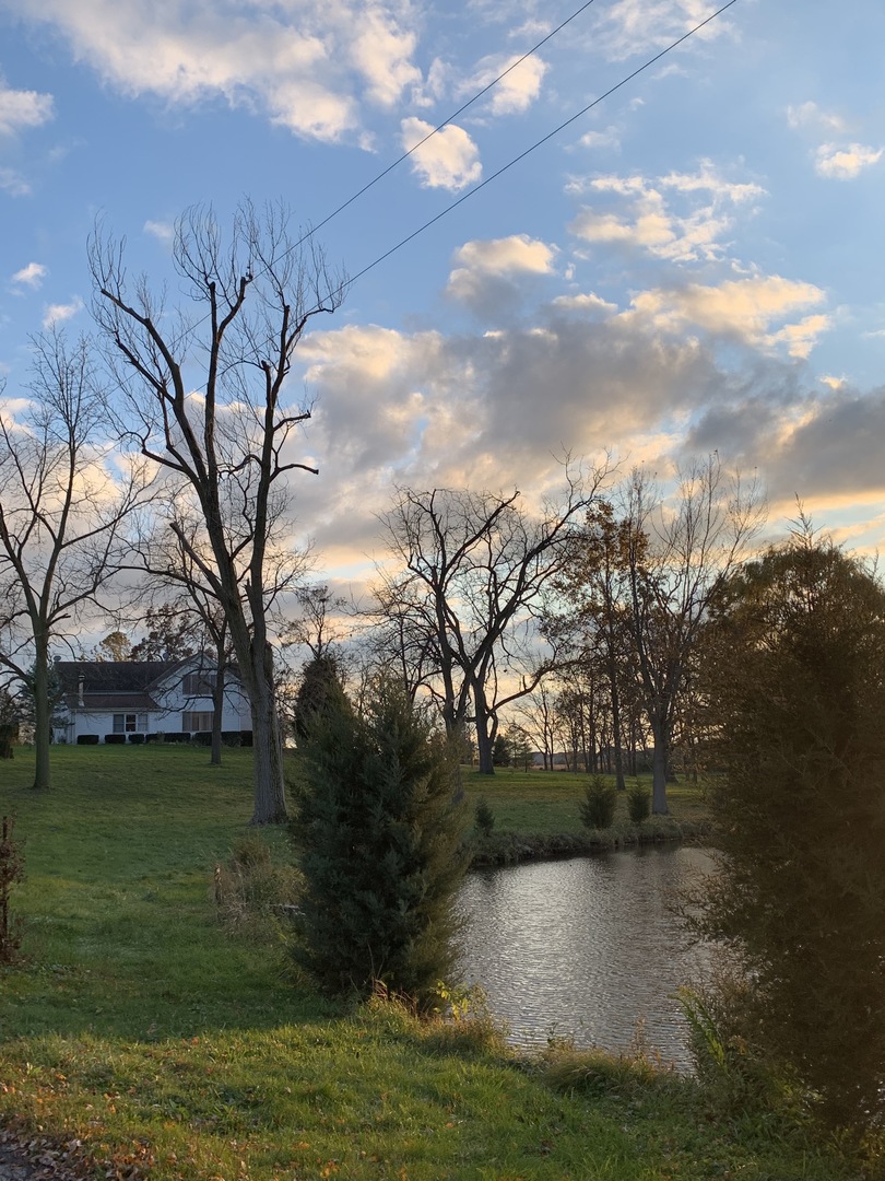 37W793 Binnie Road #1, Dundee, IL 60118