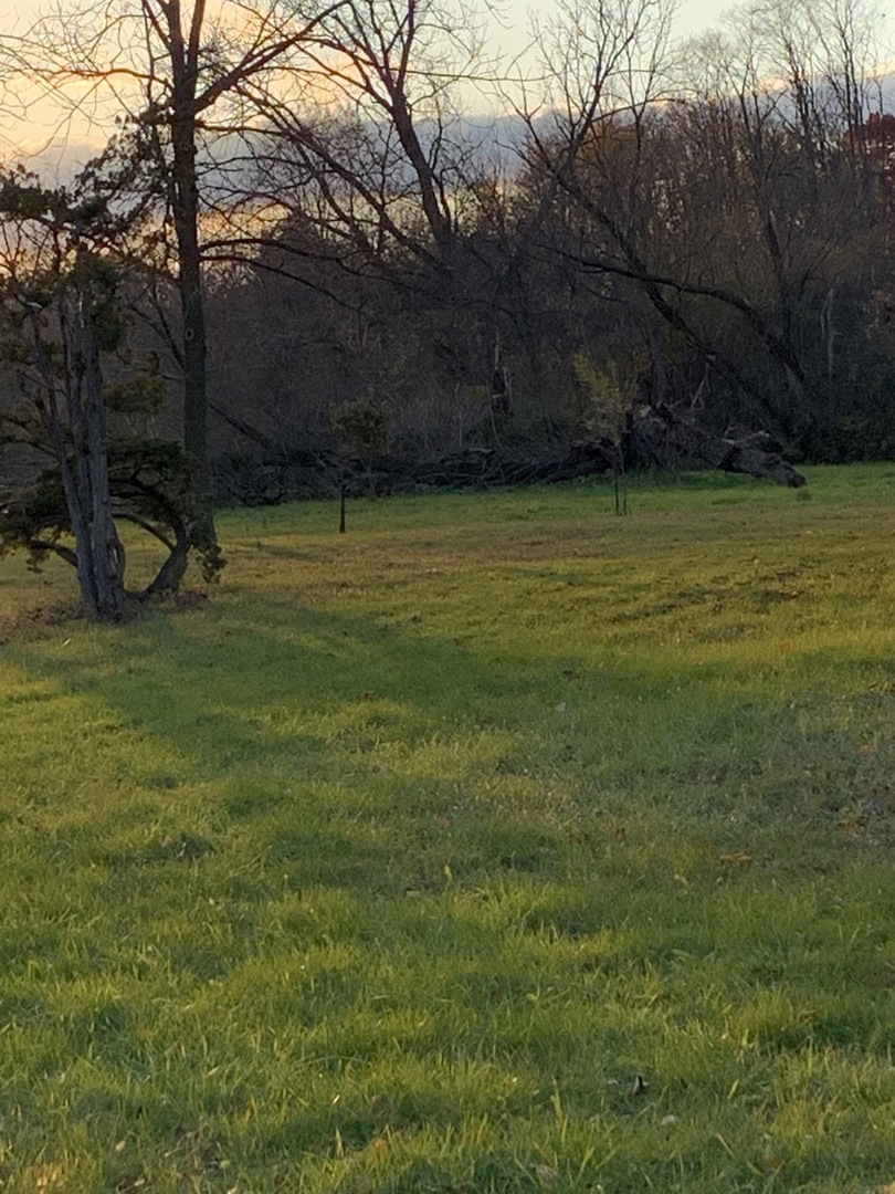 37W793 Binnie Road #1, Dundee, IL 60118