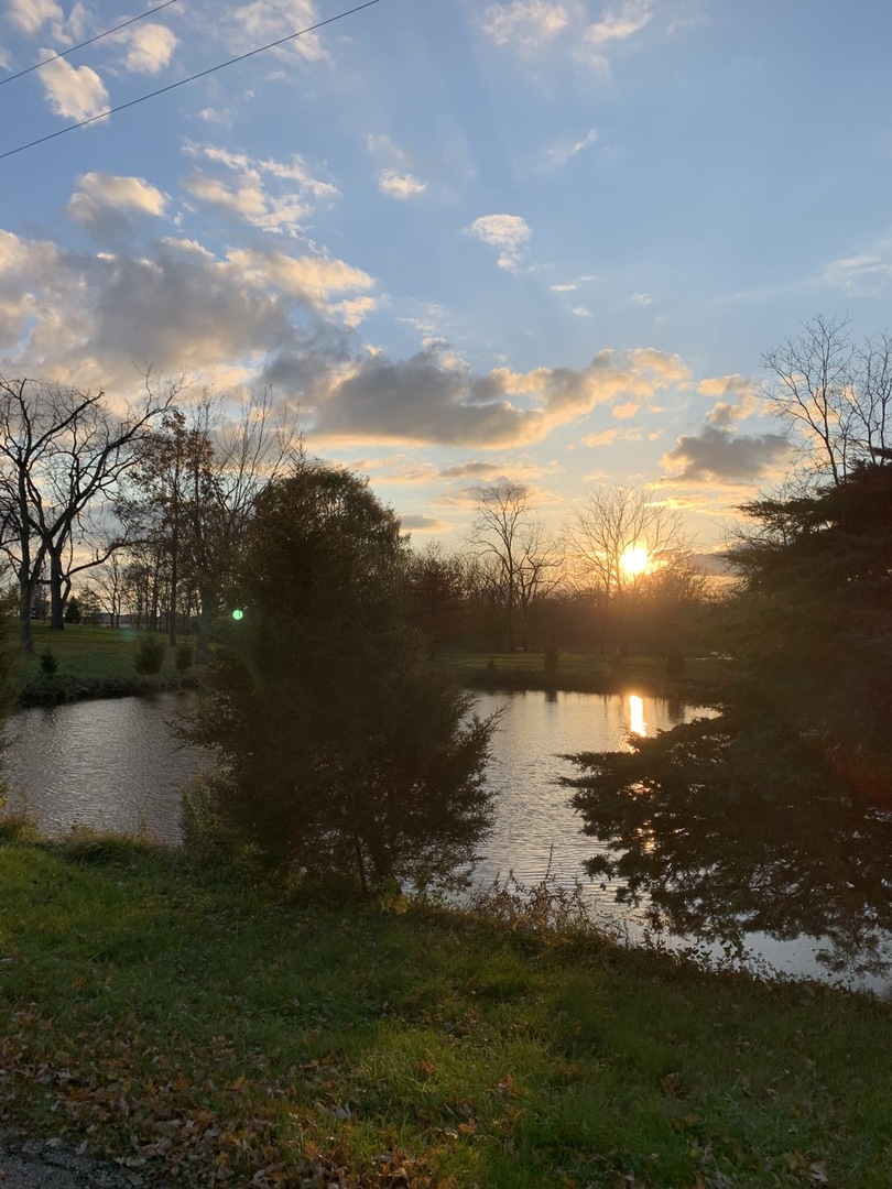 37W793 Binnie Road #1, Dundee, IL 60118