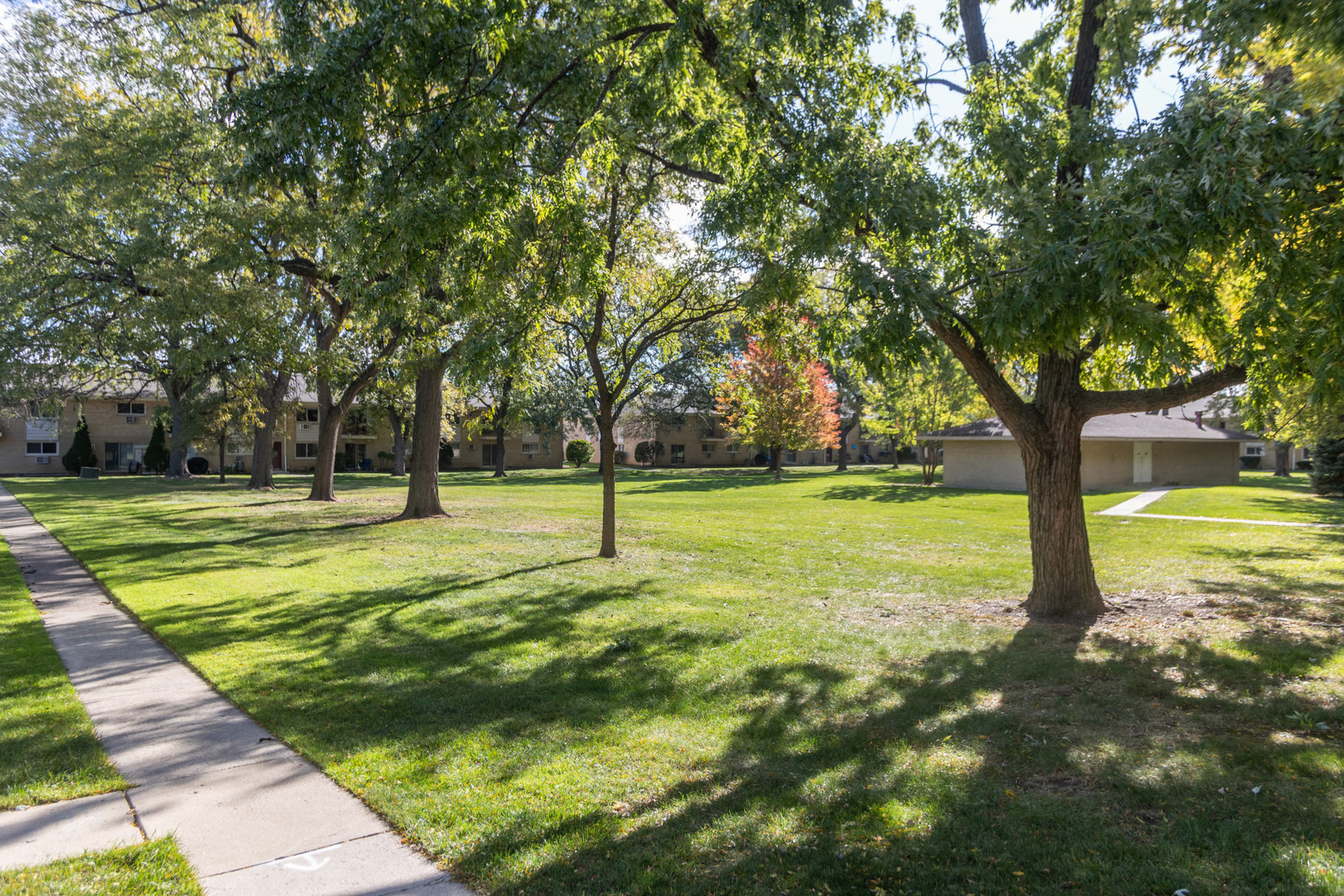 551 CARLYSLE Drive #2, Clarendon Hills, IL 60514