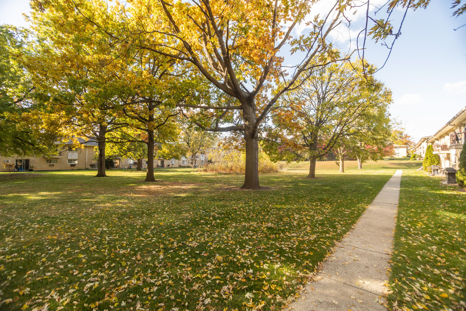 551 CARLYSLE Drive #2, Clarendon Hills, IL 60514