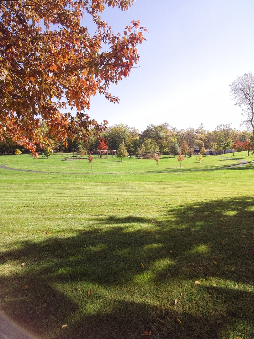 11 Dunlap Road, Park Forest, IL 60466