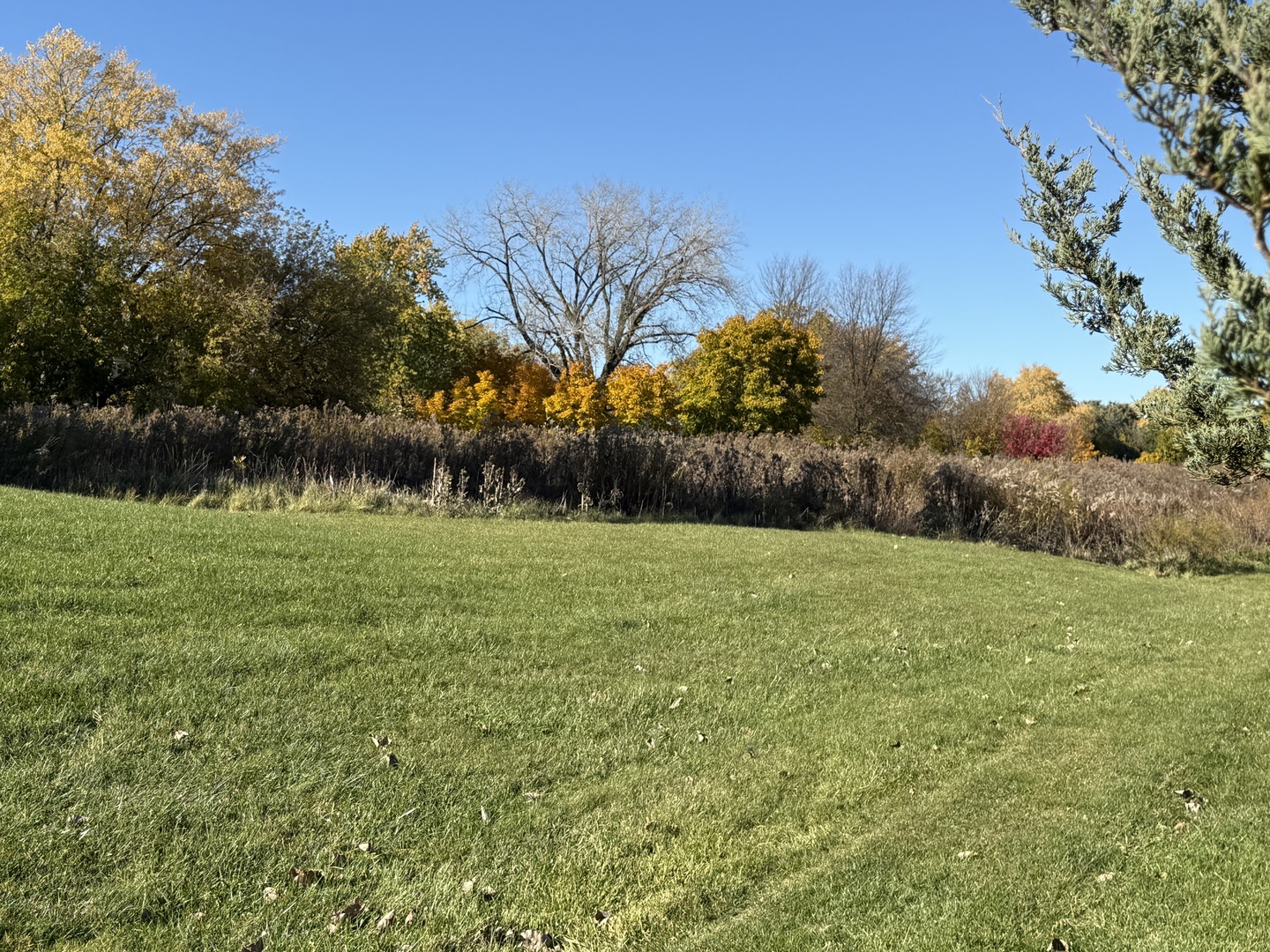 Buffalo Grove, IL 60089