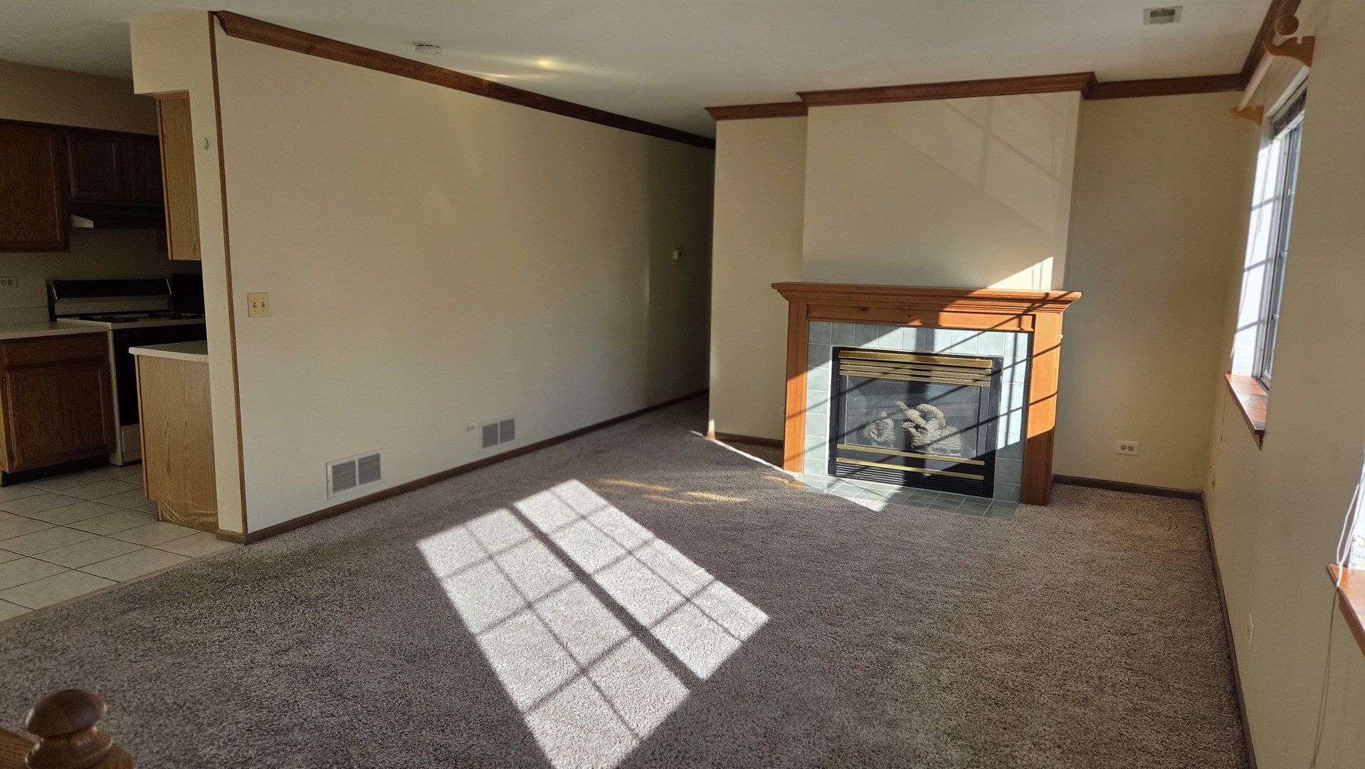 427 Village Creek Drive, Lake In The Hills, IL 60156