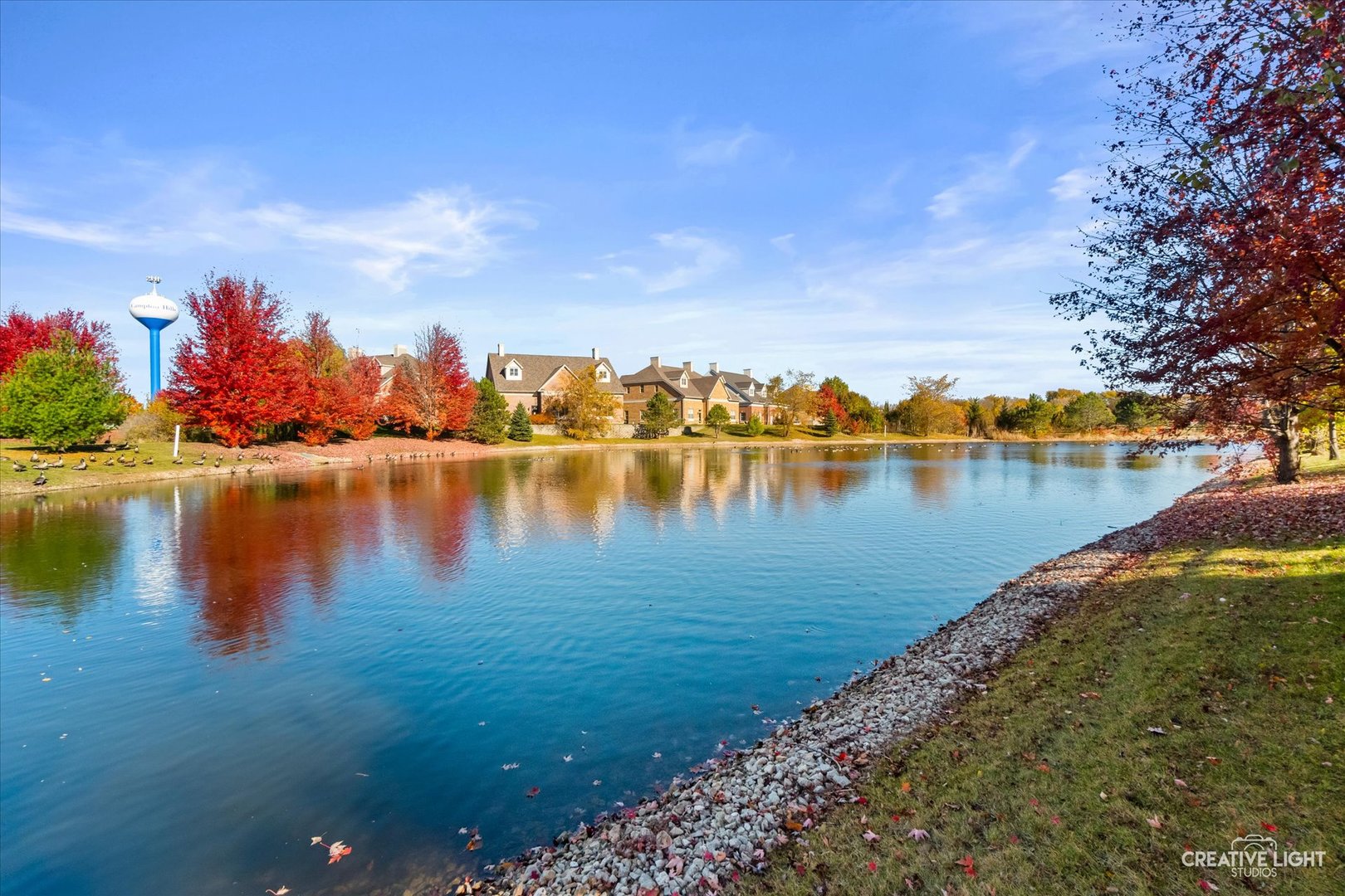 40W134 James Michener Drive, Campton Hills, IL 60175