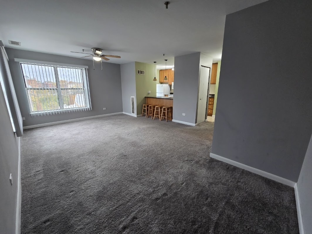 3255 KIRCHOFF Road #301, Rolling Meadows, IL 60008