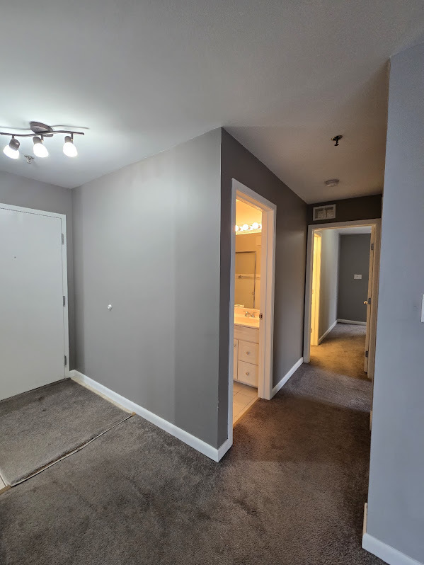 3255 KIRCHOFF Road #301, Rolling Meadows, IL 60008