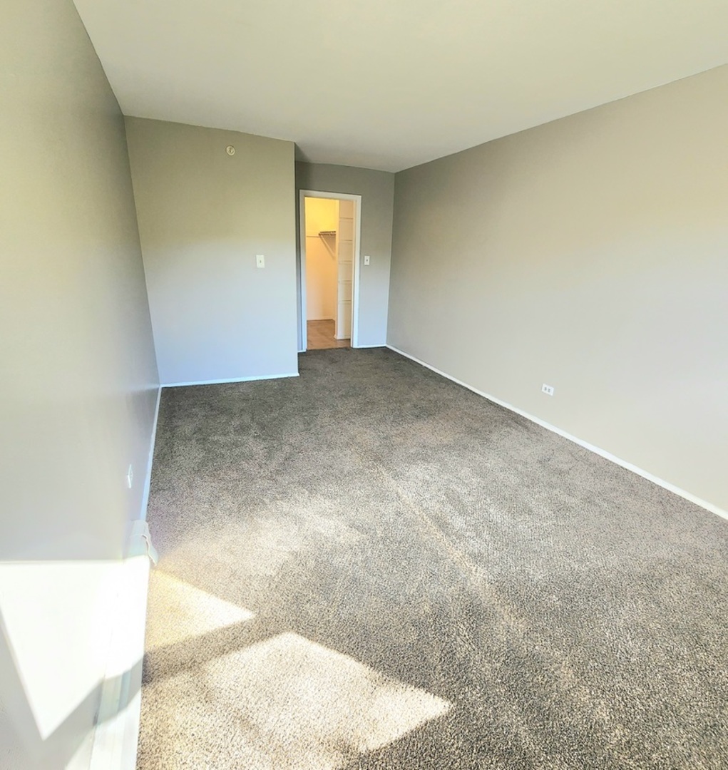 9950 S 84th Terrace #2l5, Palos Hills, IL 60465