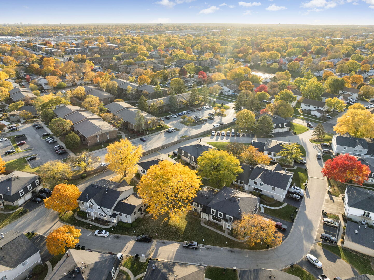 2125 N GINGER CREEK Drive #2125, Palatine, IL 60074