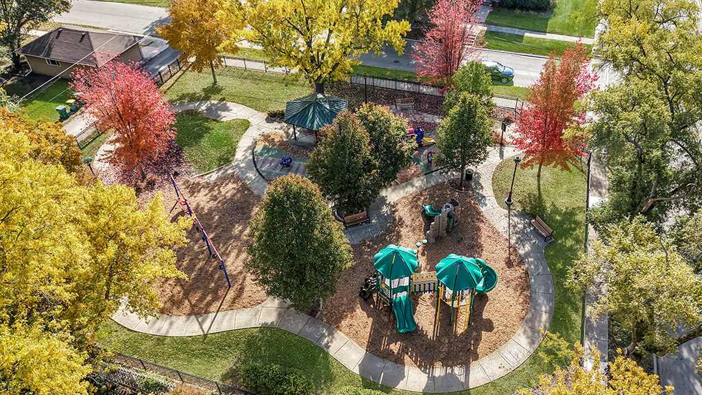 717 Warner Avenue, Lemont, IL 60439