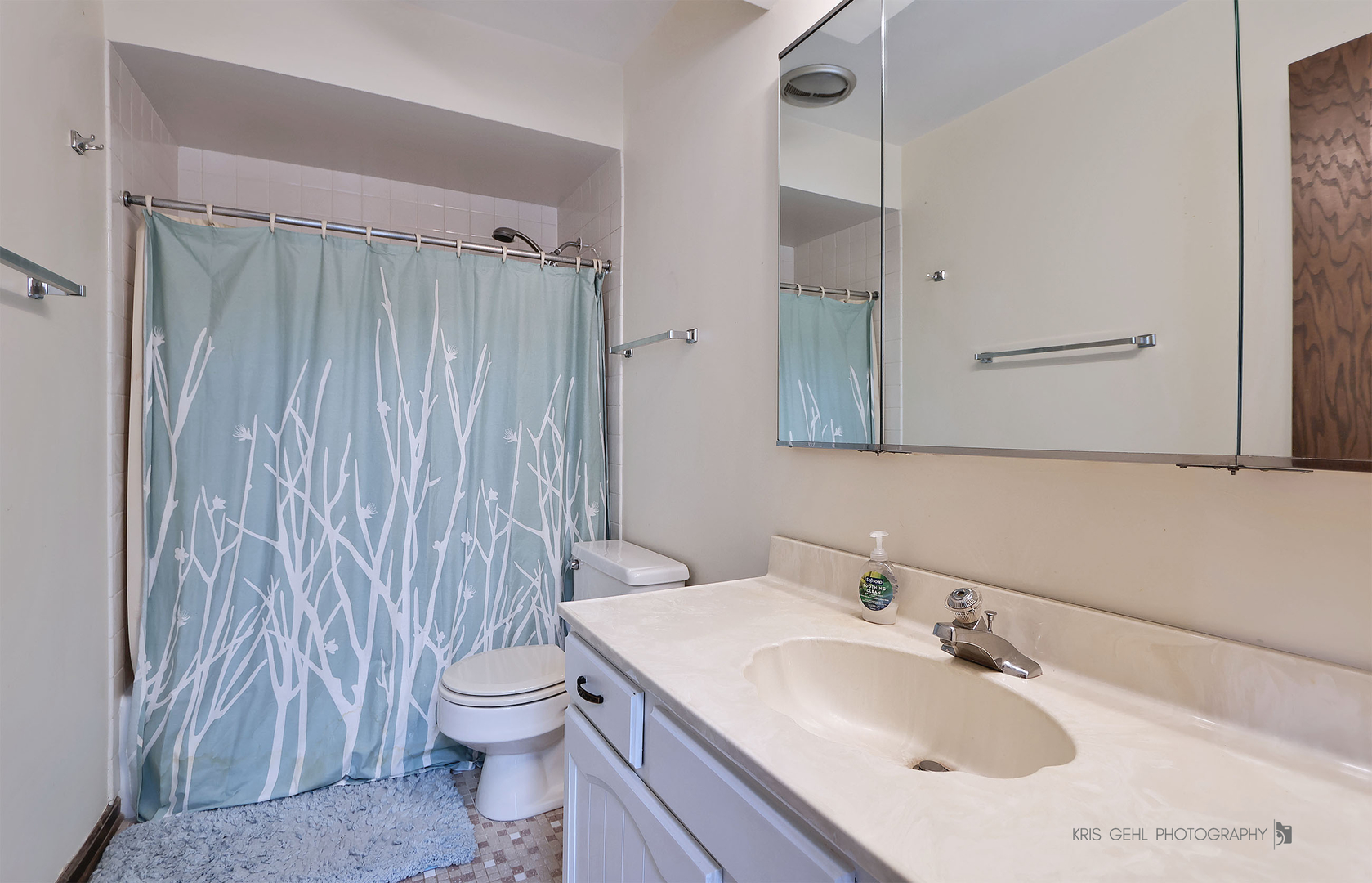 1857 Willowview Terrace, Northfield, IL 60093