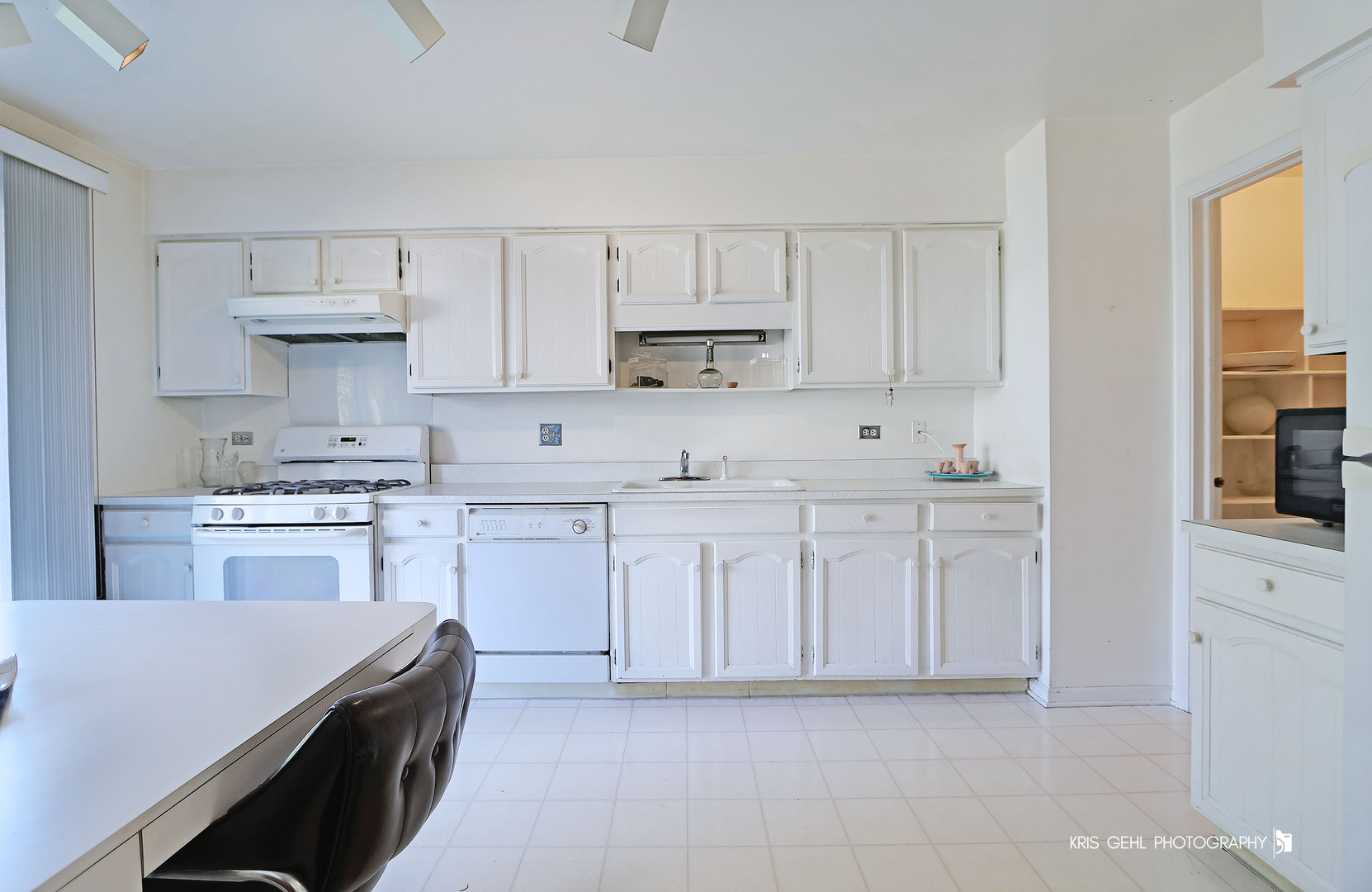 1857 Willowview Terrace, Northfield, IL 60093