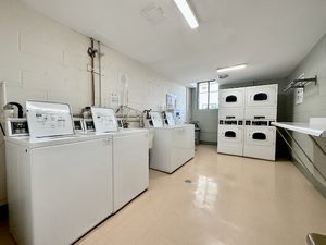 4624 N Commons Drive #111, Chicago, IL 60656