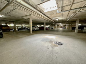 4624 N Commons Drive #111, Chicago, IL 60656