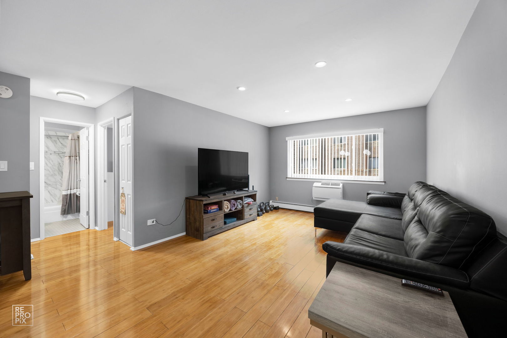 4624 N Commons Drive #111, Chicago, IL 60656