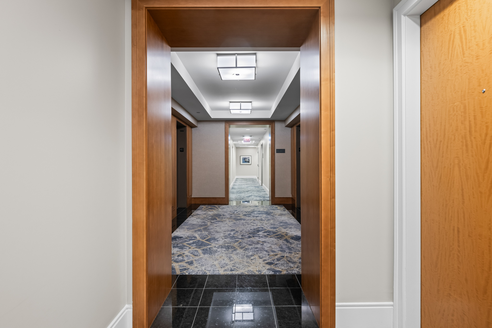 600 N Lake Shore Drive #4209, Chicago, IL 60611