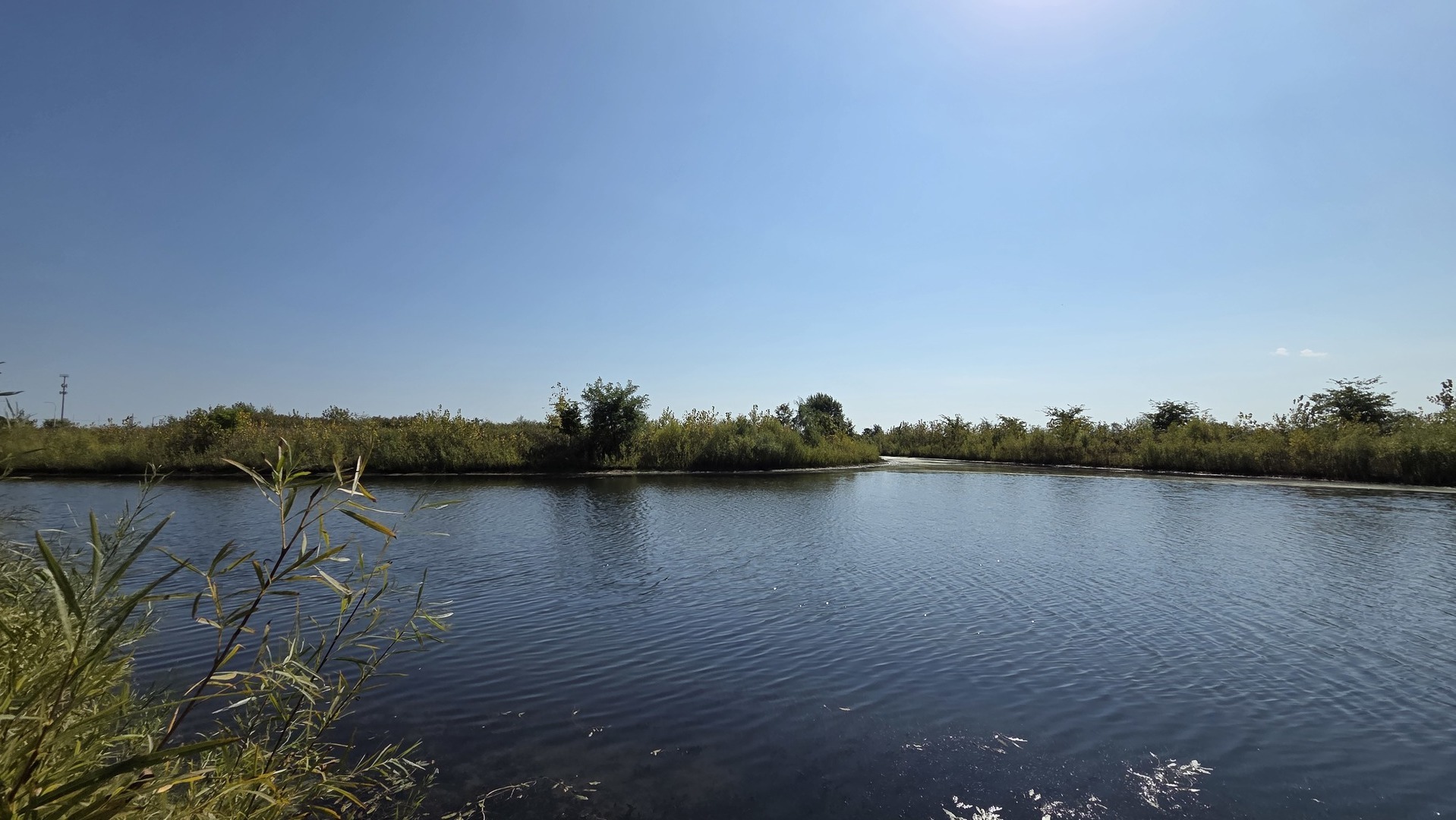 2368 Alison Avenue, Pingree Grove, IL 60140