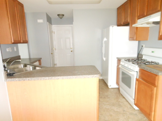 603 Conservatory Lane, Aurora, IL 60502