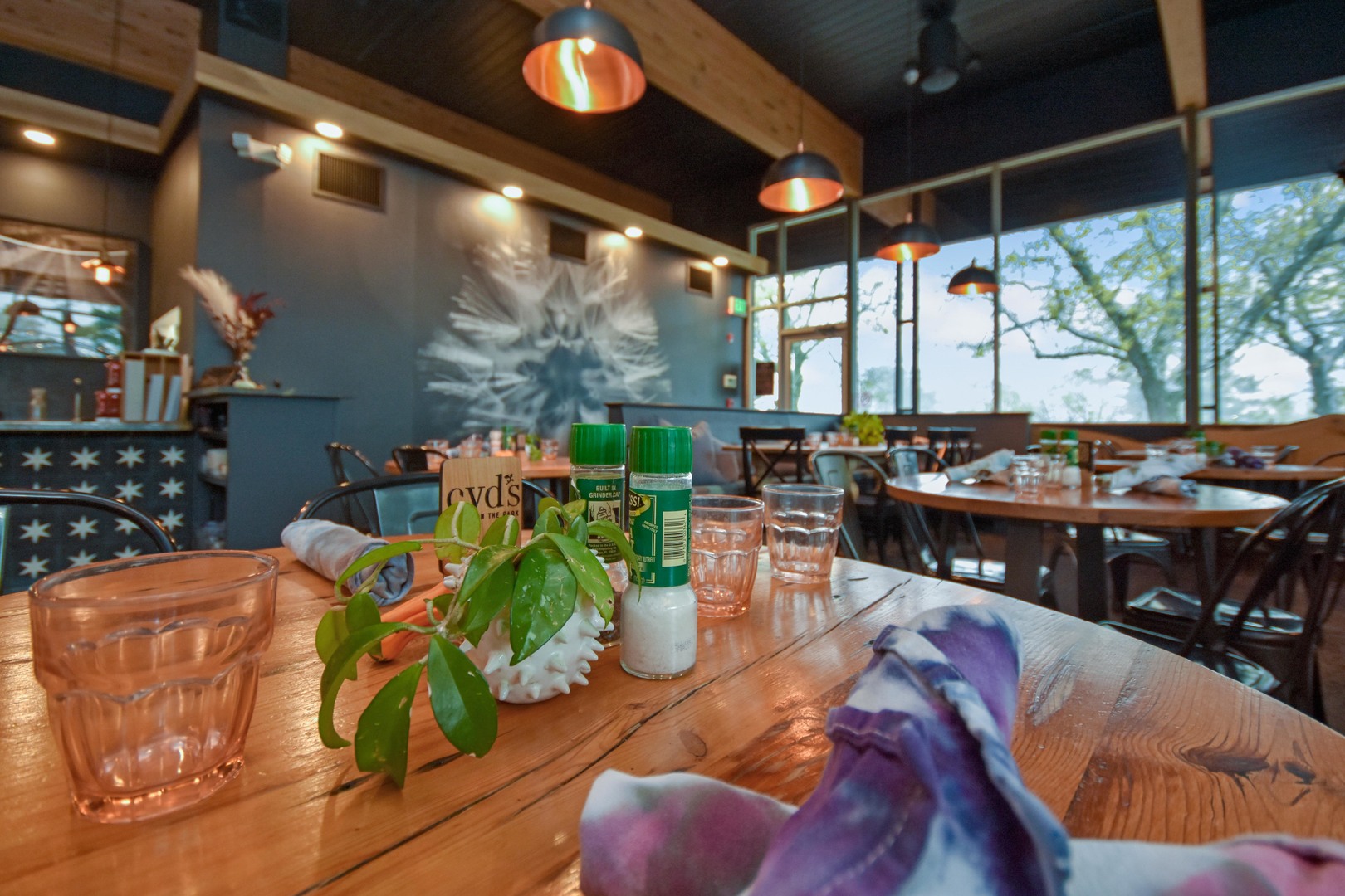 5805 N Knoxville Avenue, Peoria, IL 61614