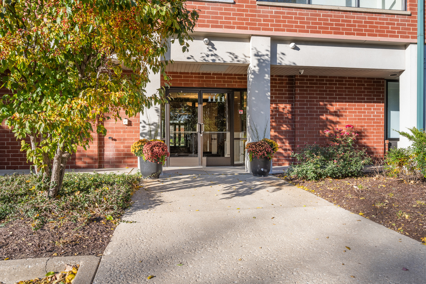 1111 Burlington Avenue #207, Lisle, IL 60532