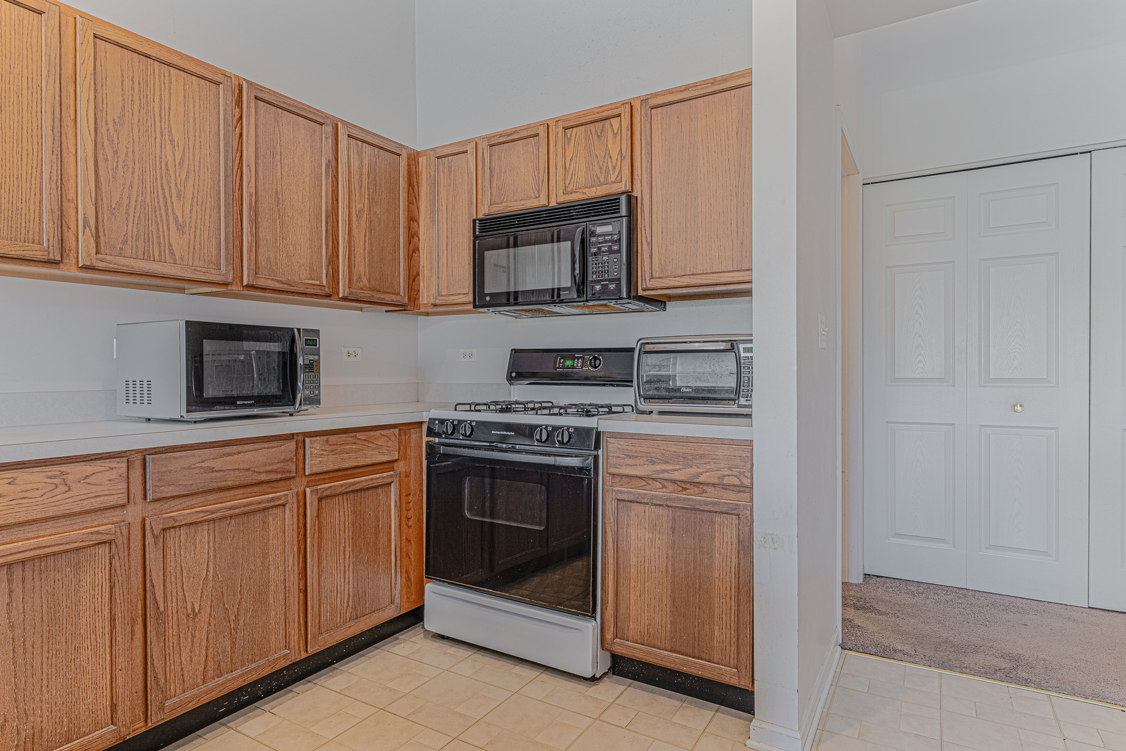 386 Gladstone Lane, Elgin, IL 60120