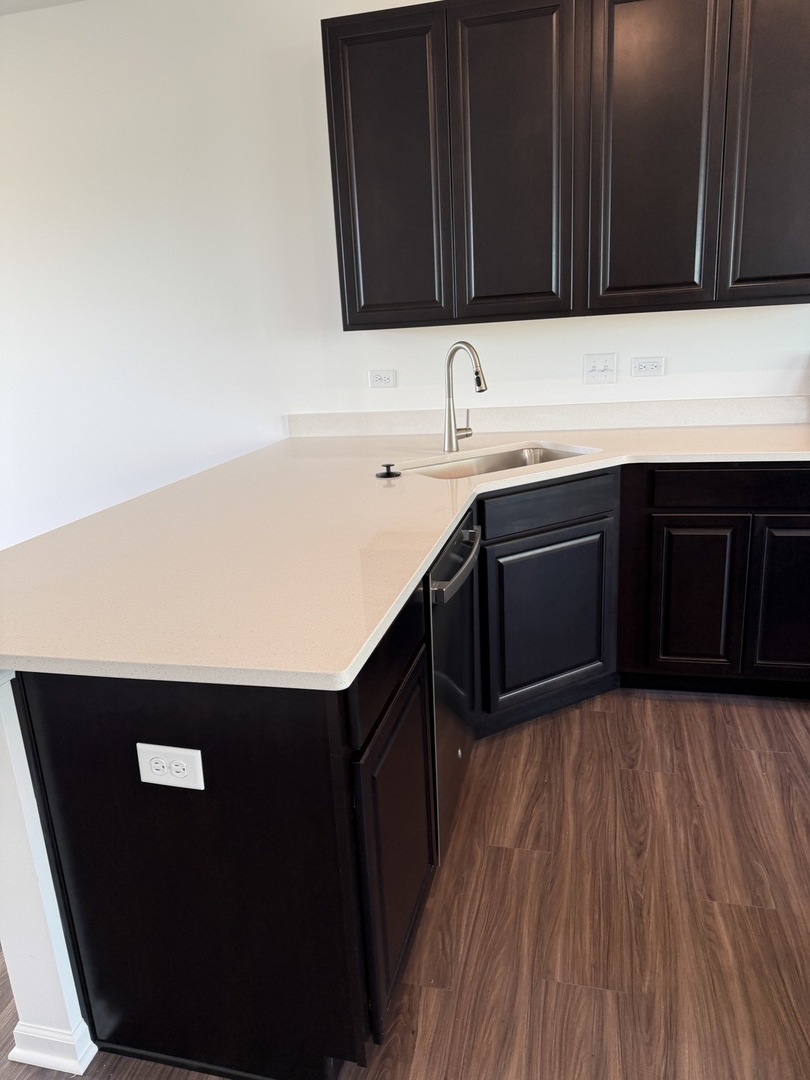 12307 Tinsley Street, Huntley, IL 60142