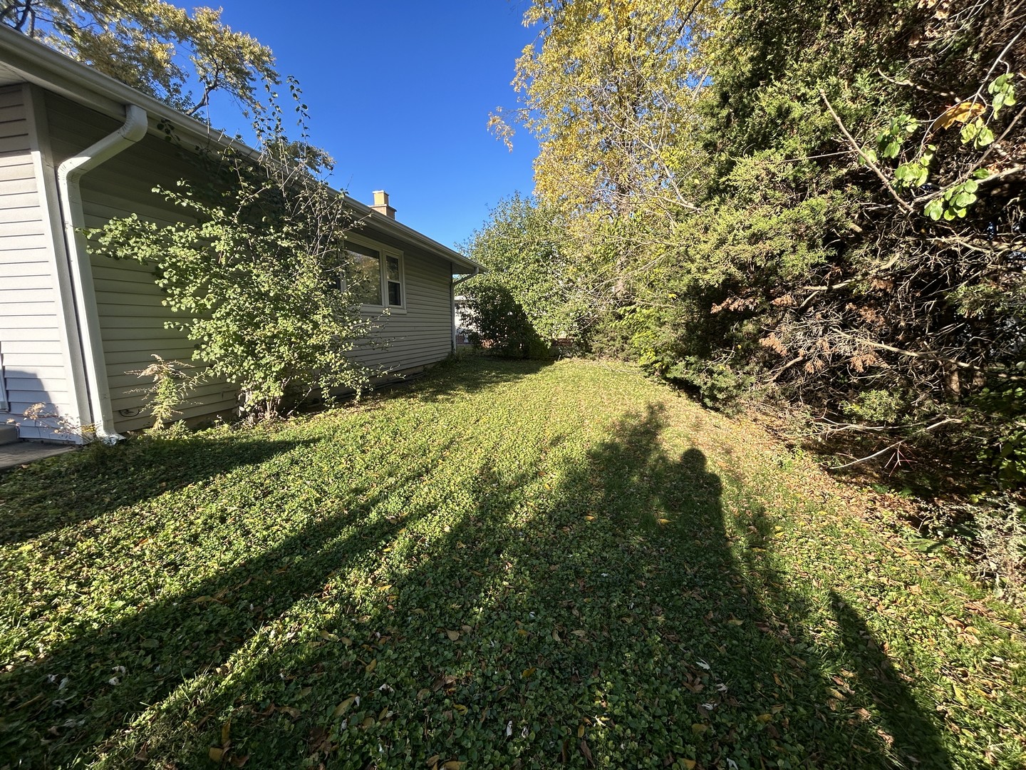 333 Charing Cross Road, Elk Grove Village, IL 60007