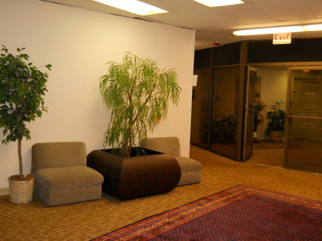 380 E Northwest Highway, Des Plaines, IL 60016