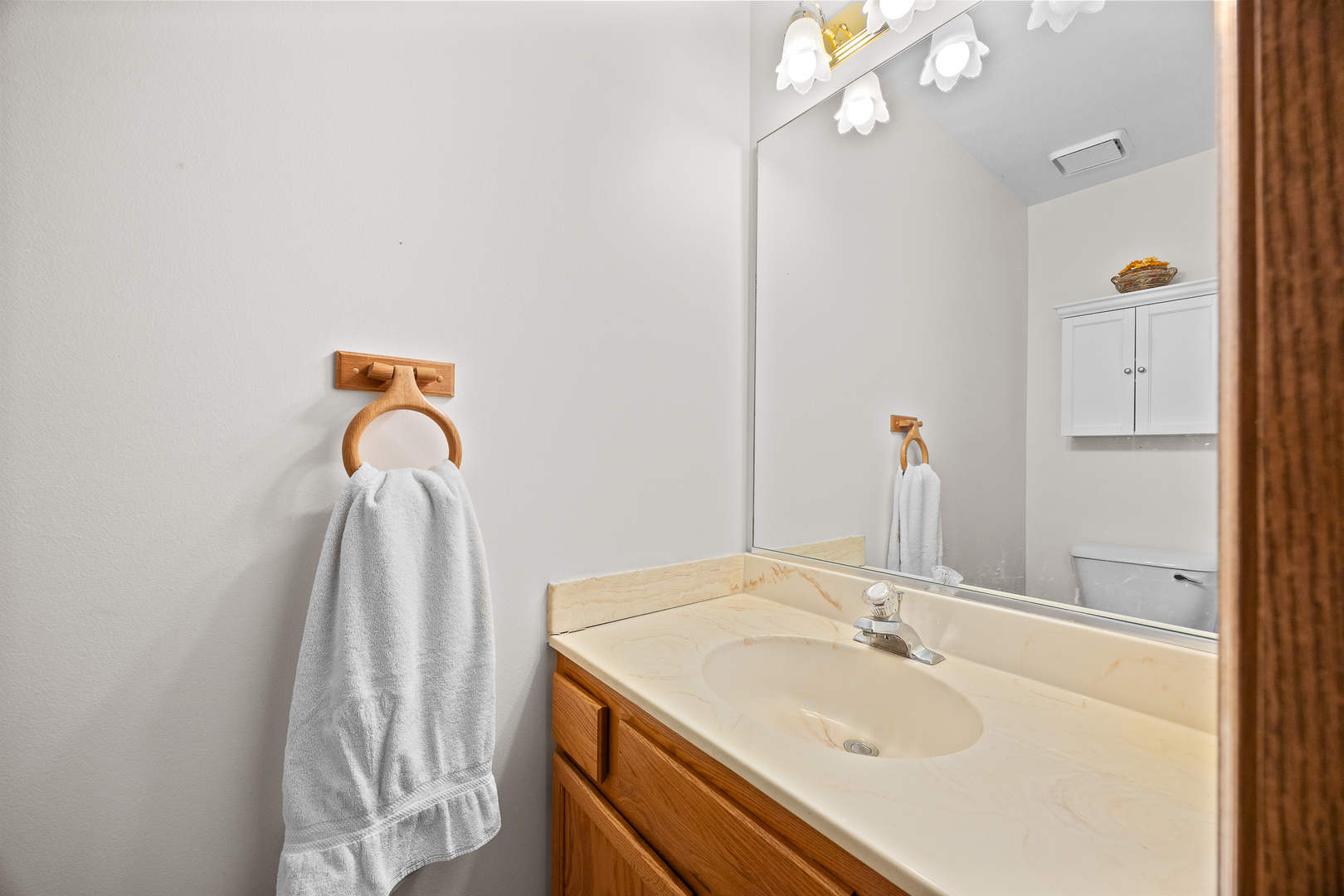 238 Paddington Lane, Bolingbrook, IL 60440