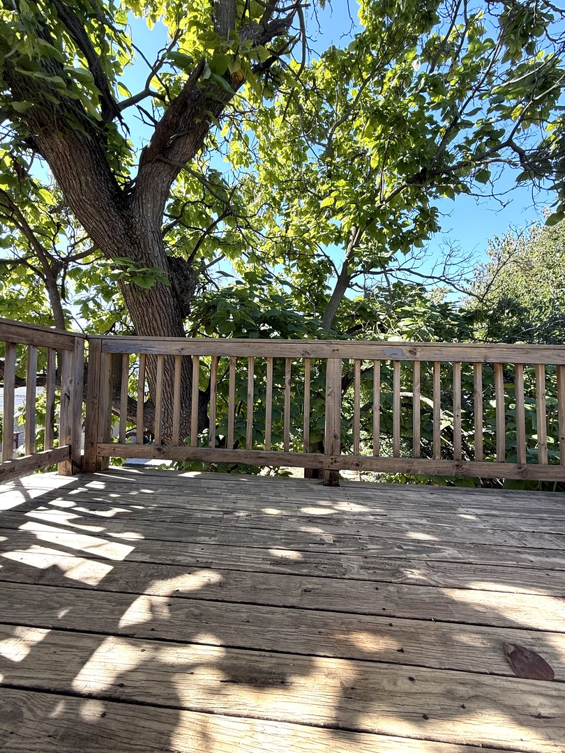 7342 S Aberdeen Street, Chicago, IL 60621