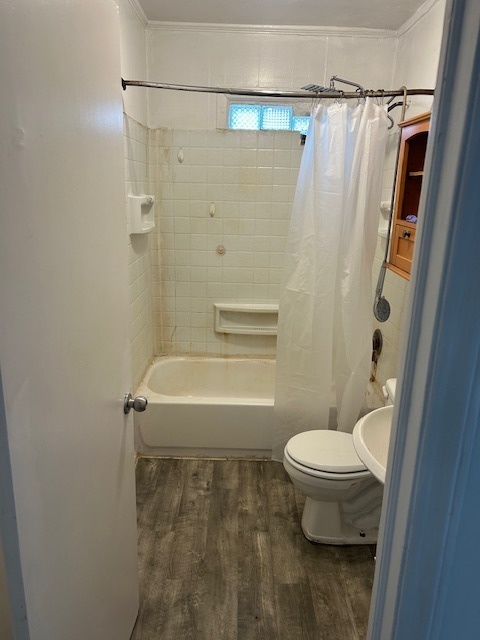 1305 S Wisconsin Avenue, Lombard, IL 60148