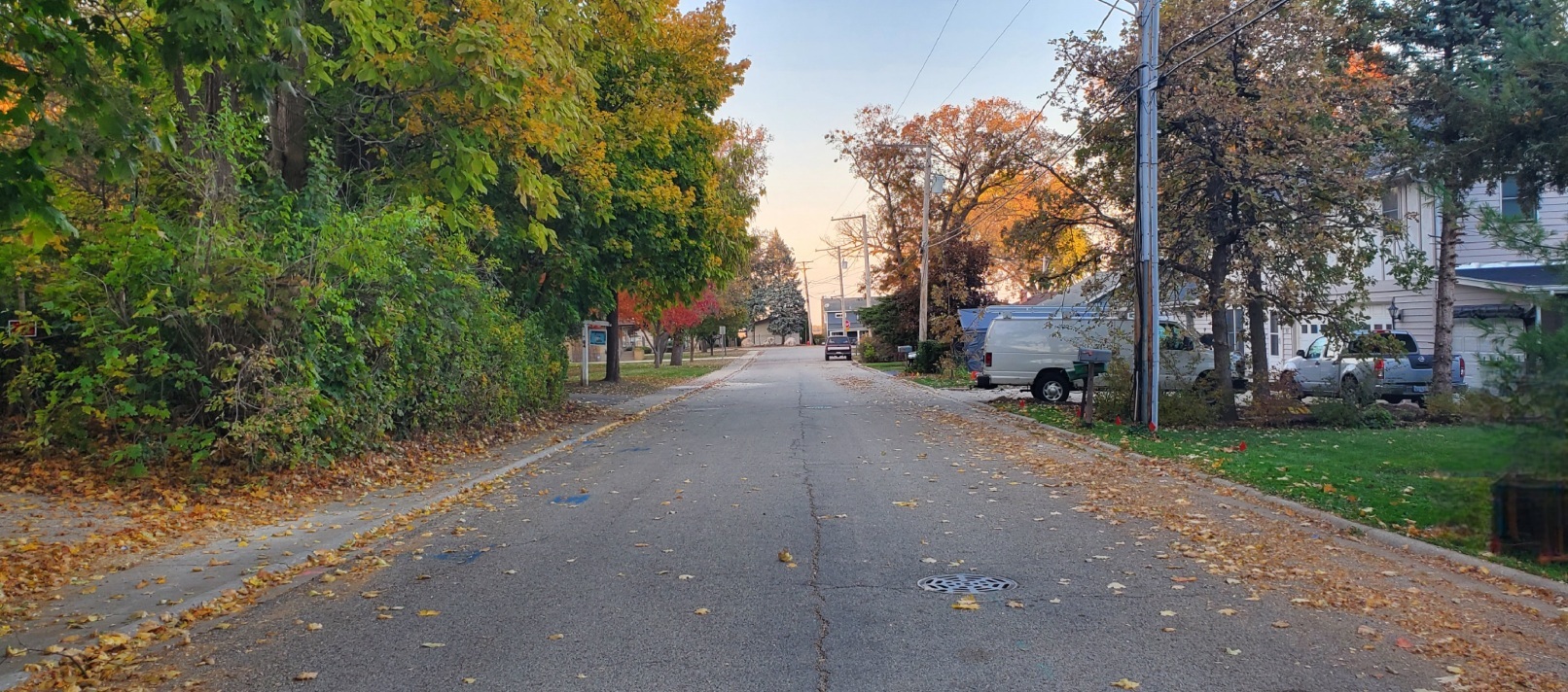 91 Lippincott Road, Fox Lake, IL 60020