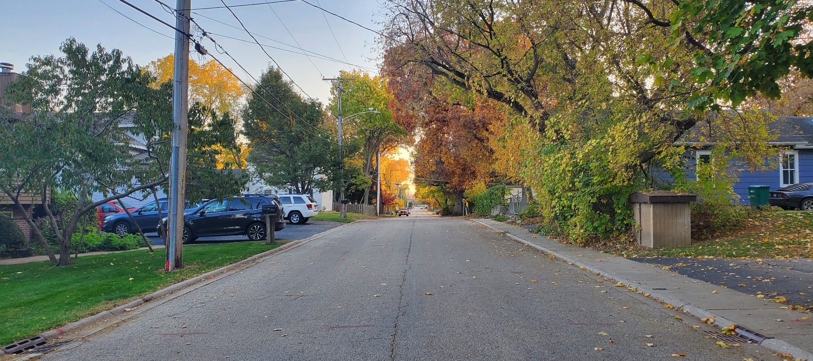 91 Lippincott Road, Fox Lake, IL 60020