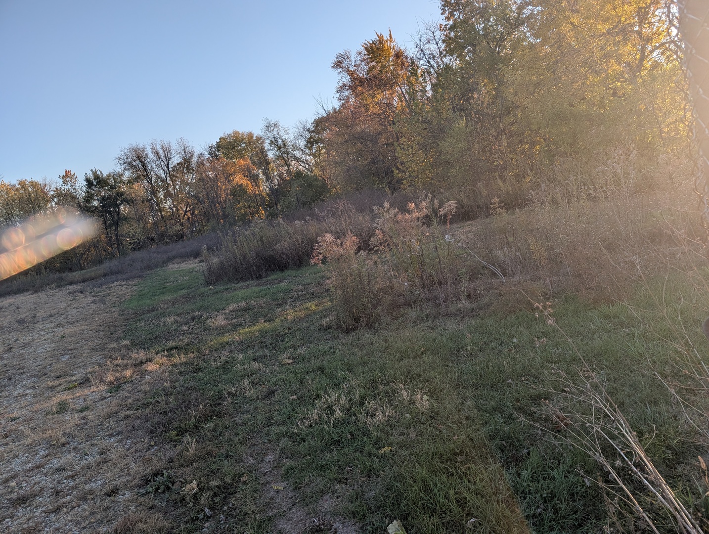 510 N Grove Street, Farmer City, IL 61842