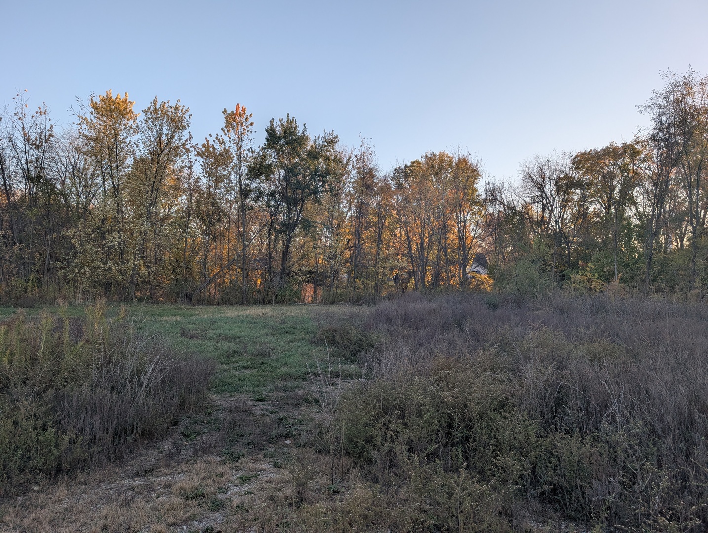 510 N Grove Street, Farmer City, IL 61842