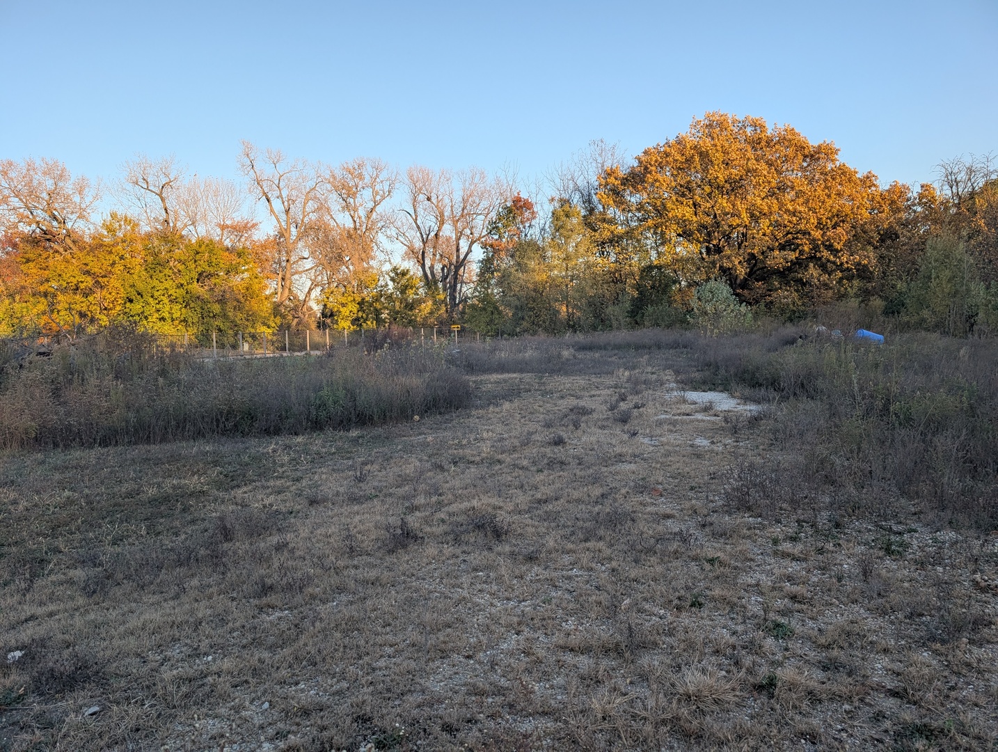 510 N Grove Street, Farmer City, IL 61842