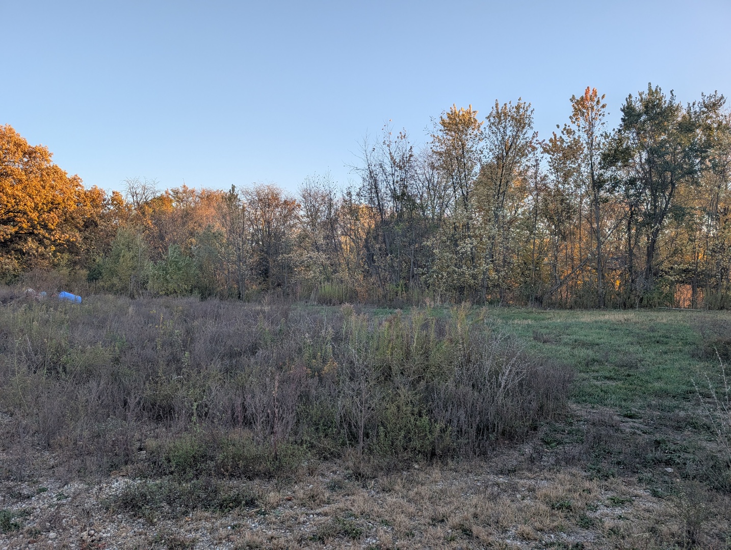 510 N Grove Street, Farmer City, IL 61842