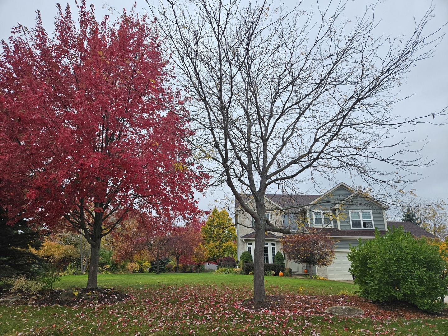 8789 Bentley Lane, Spring Grove, IL 60081