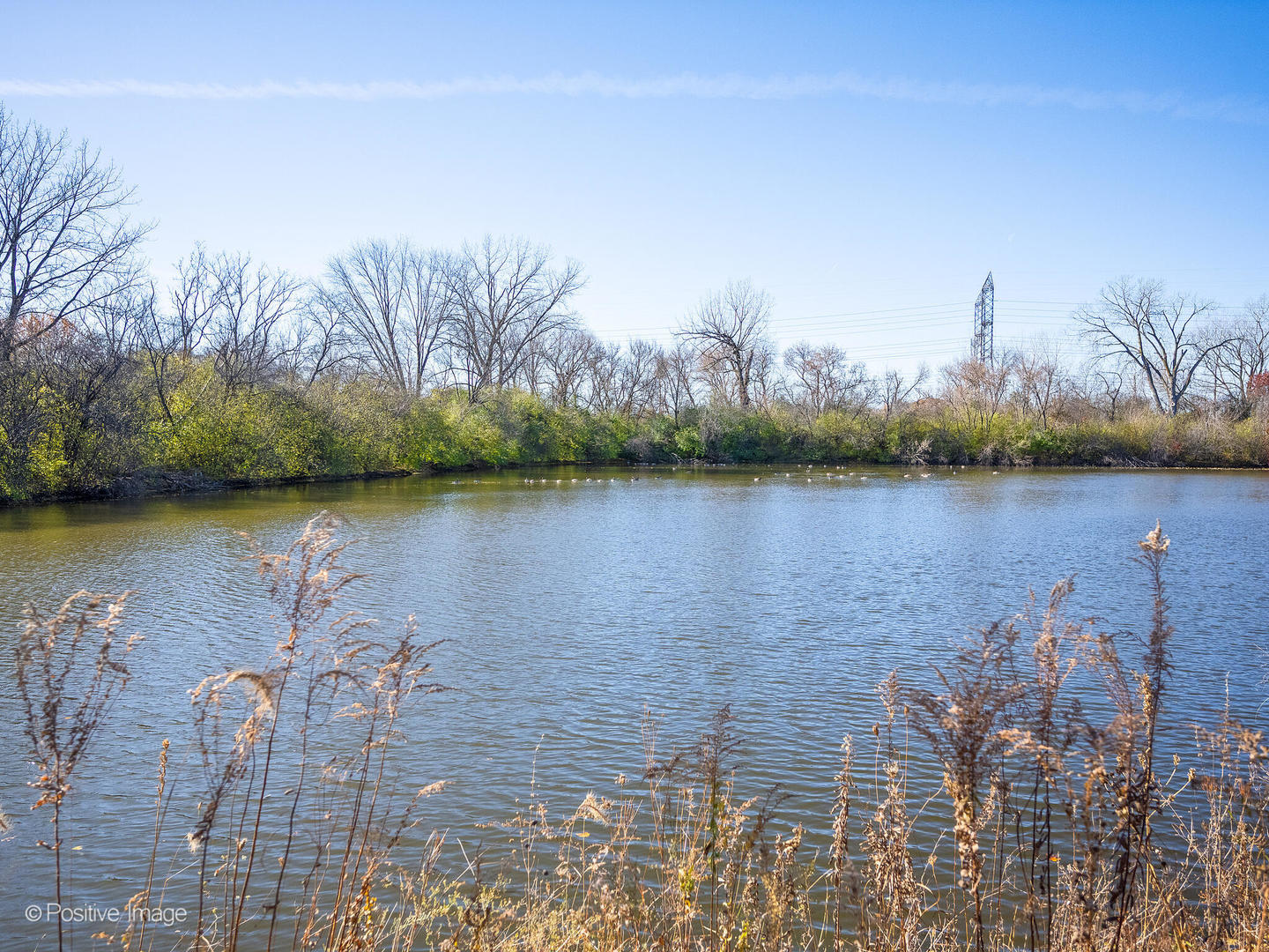 30W091 Penny Lane #30W091, Warrenville, IL 60555