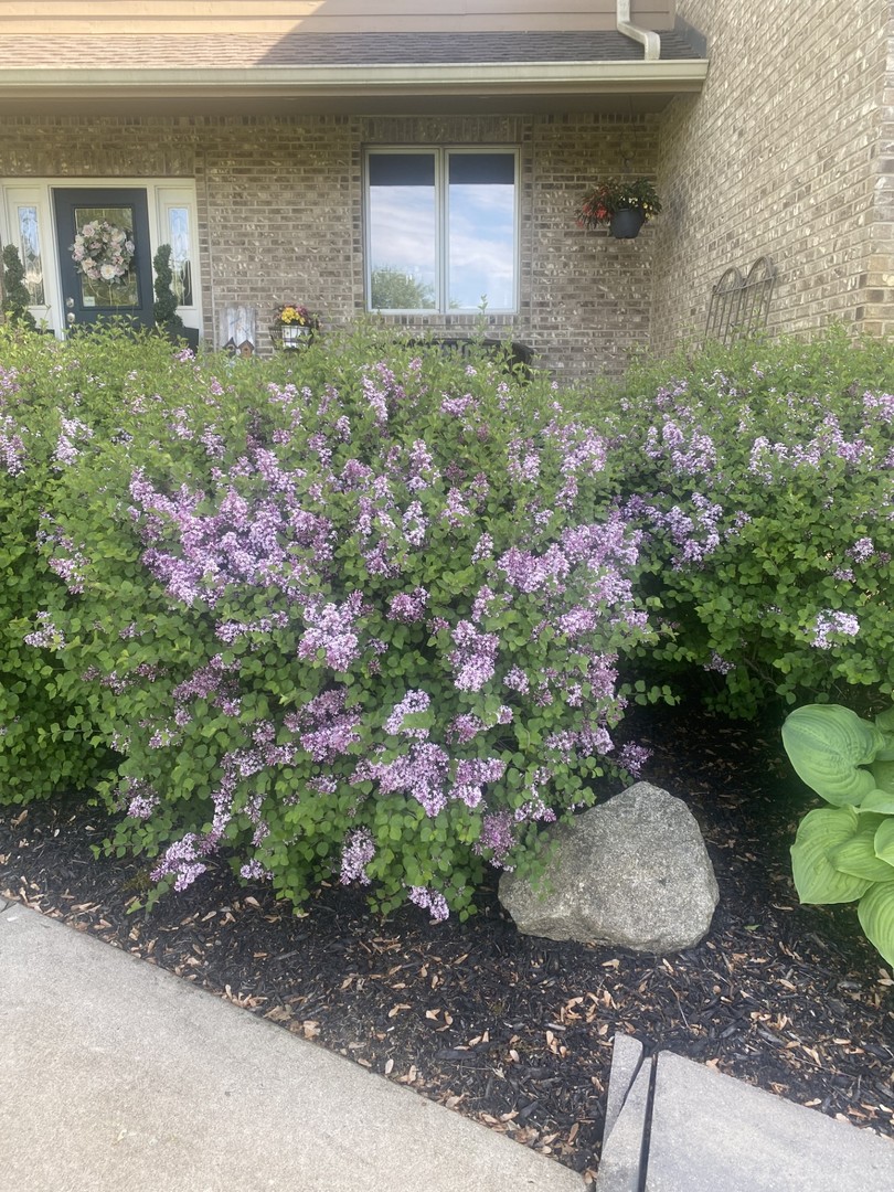 3819 Prairie Drive, Spring Grove, IL 60081