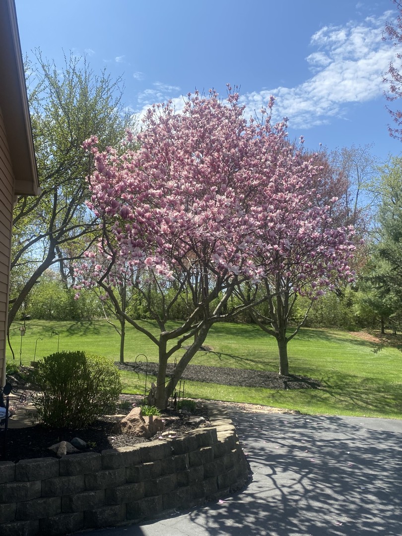 3819 Prairie Drive, Spring Grove, IL 60081