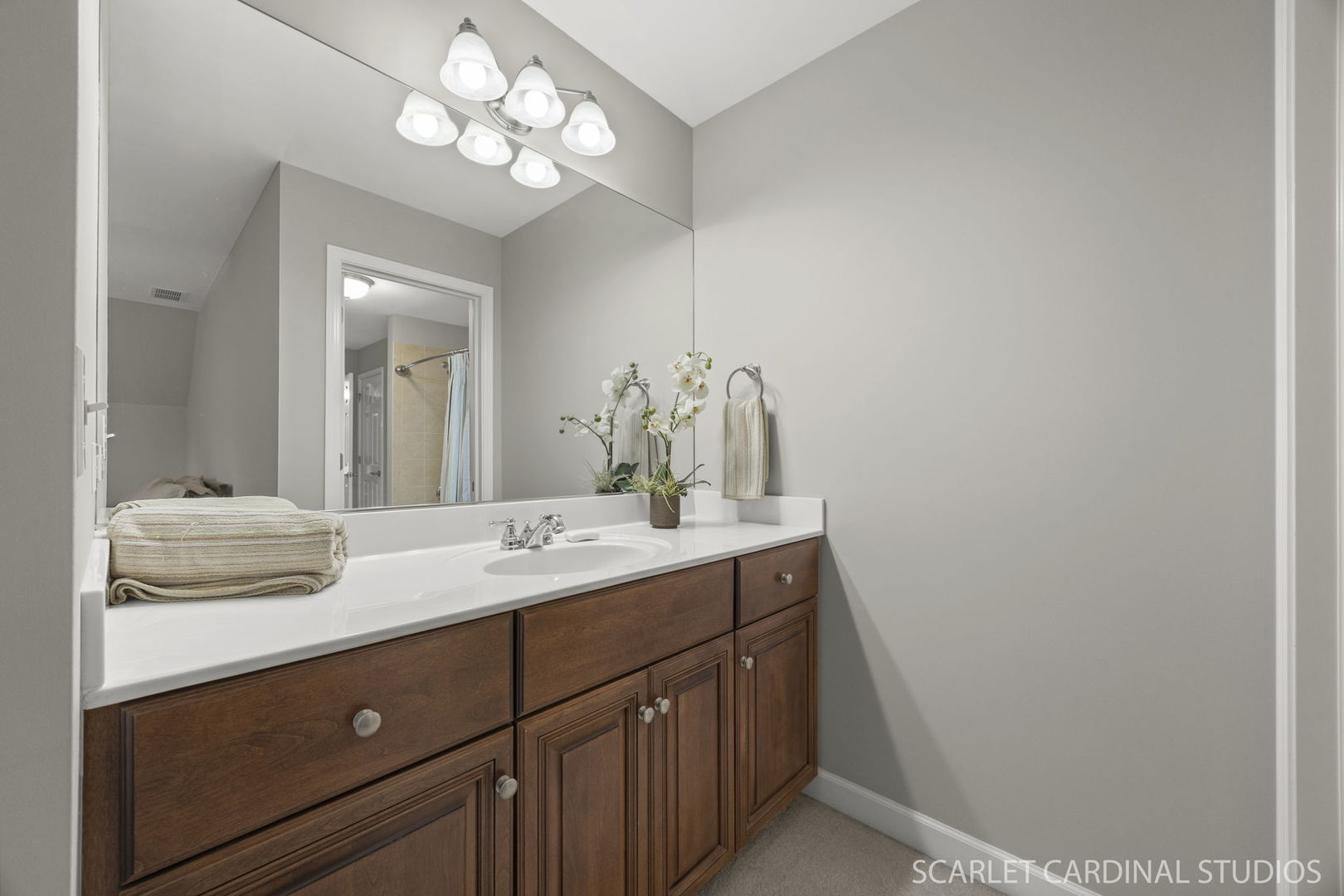 1017 Tartan Court, Wheaton, IL 60187