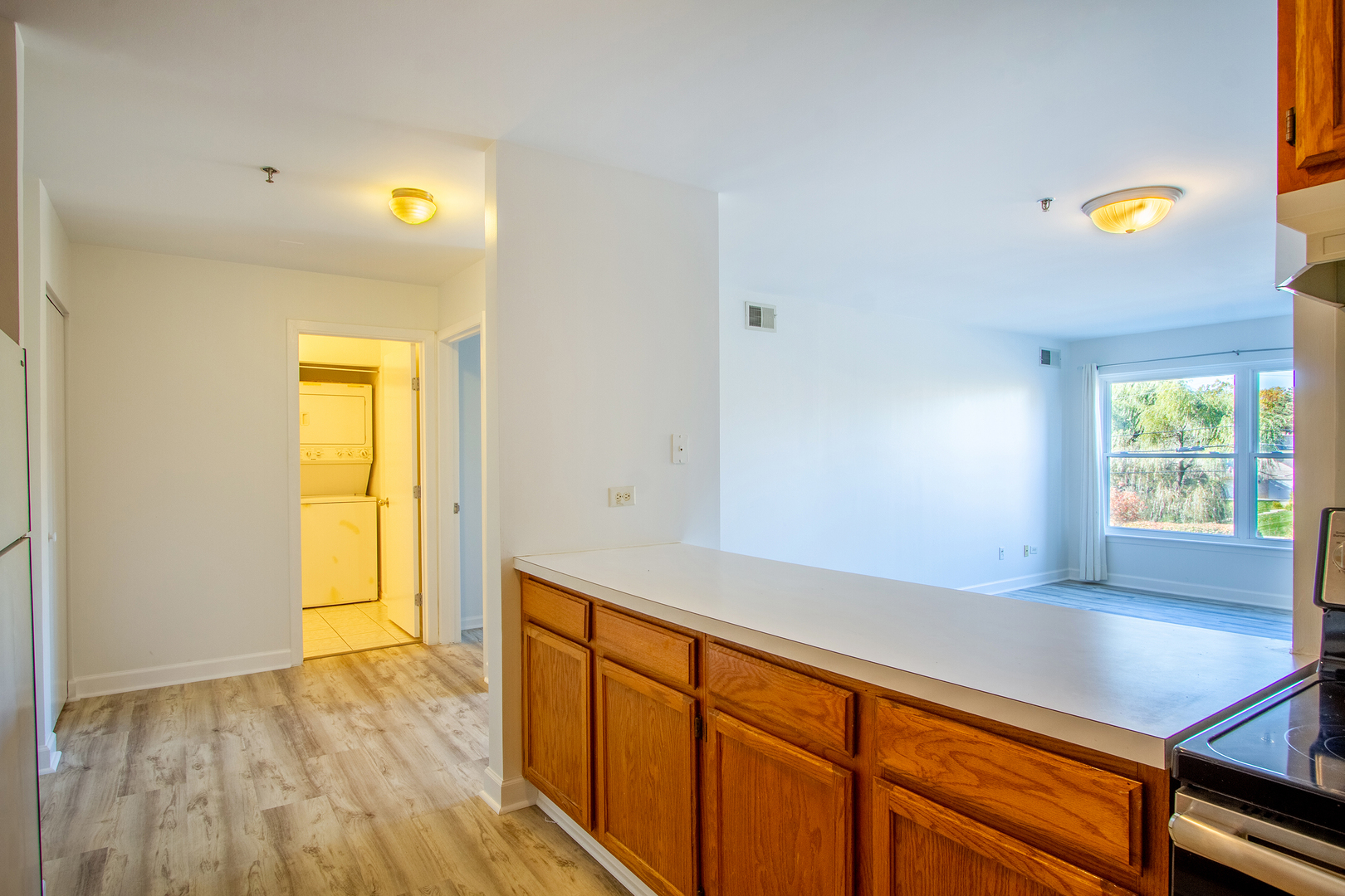 3265 Kirchoff Road #223, Rolling Meadows, IL 60008