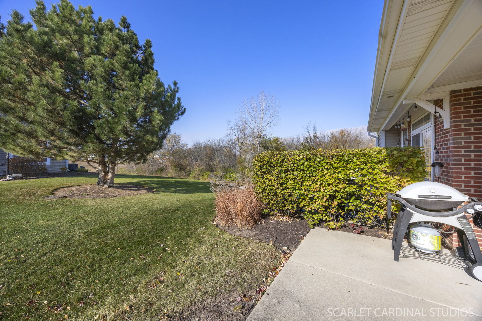 205 Belle Vue Court #B, Sugar Grove, IL 60554