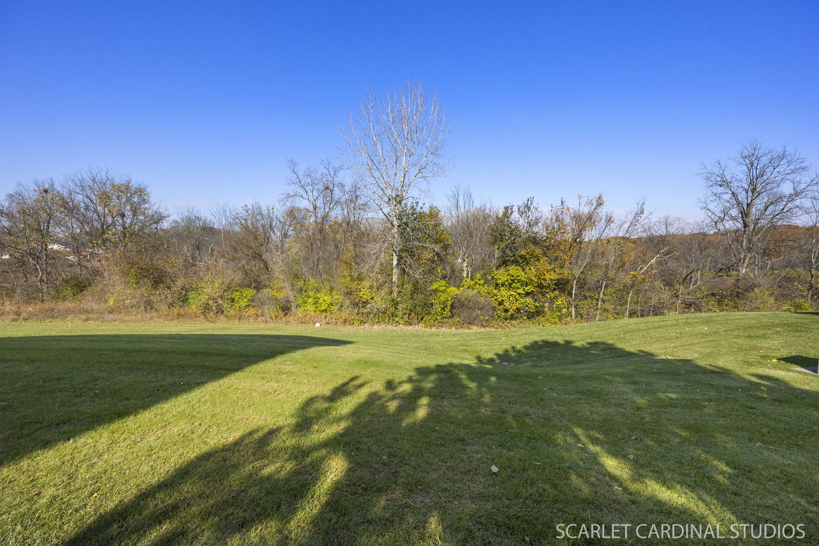 205 Belle Vue Court #B, Sugar Grove, IL 60554