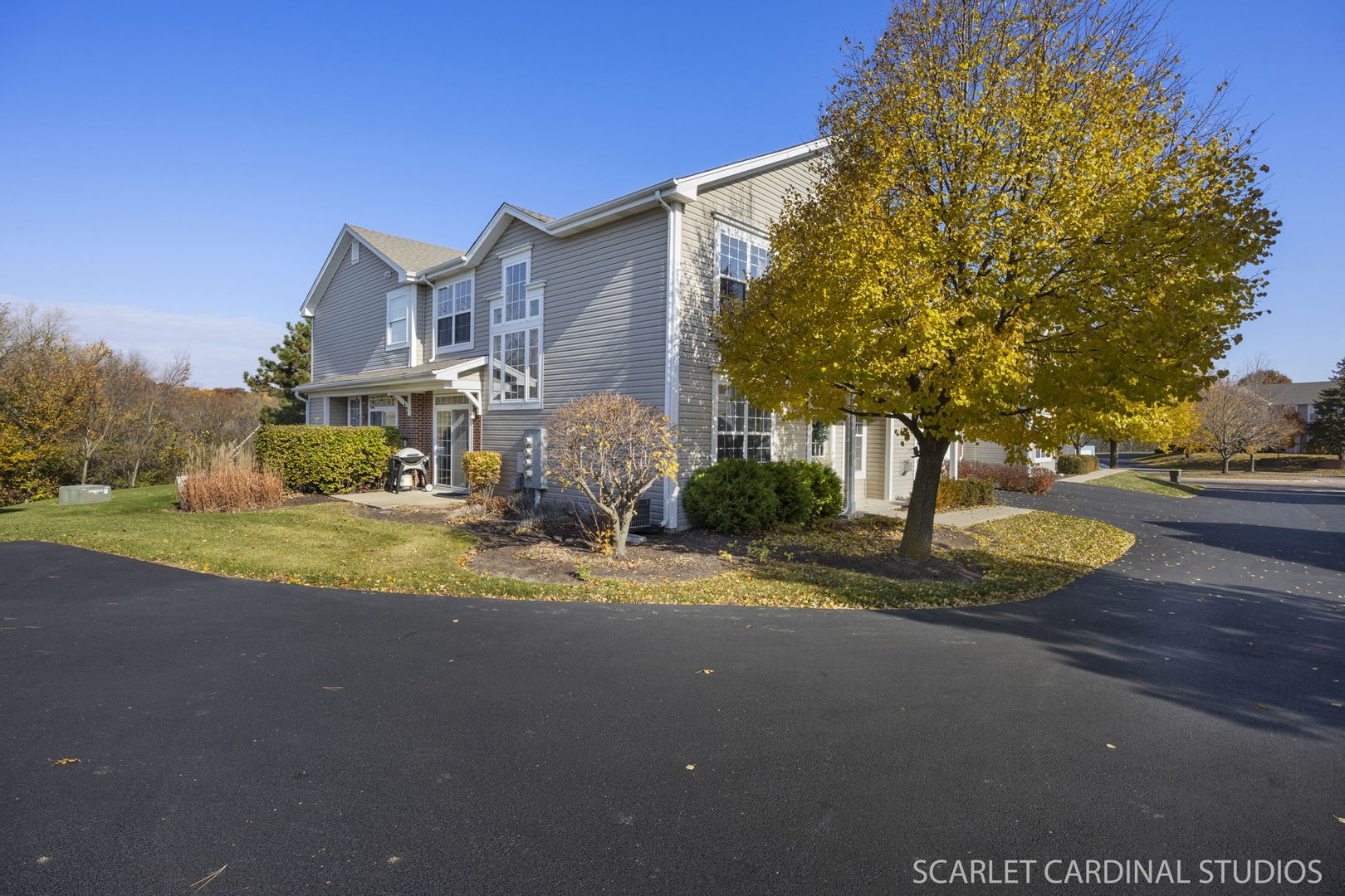 205 Belle Vue Court #B, Sugar Grove, IL 60554
