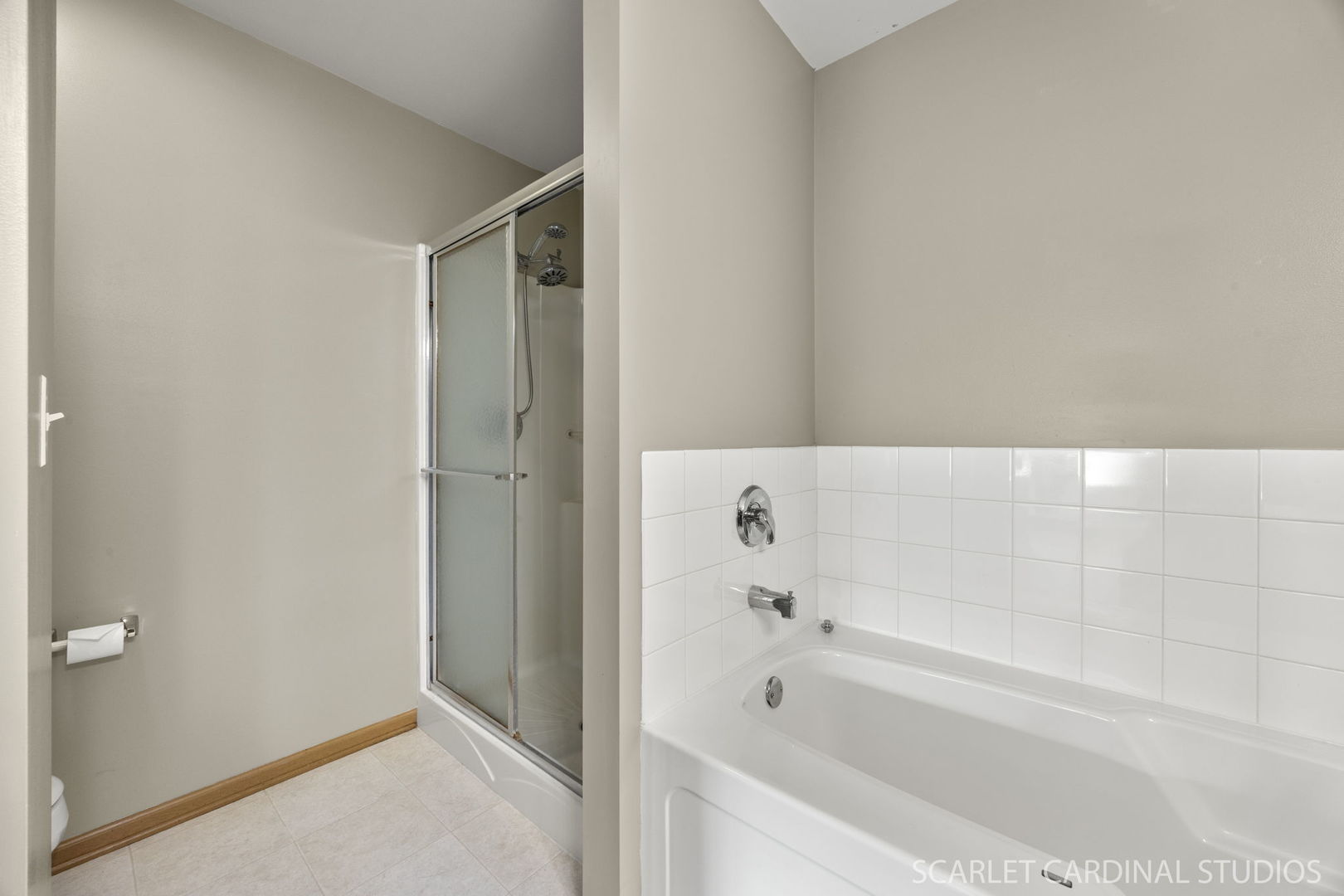 205 Belle Vue Court #B, Sugar Grove, IL 60554