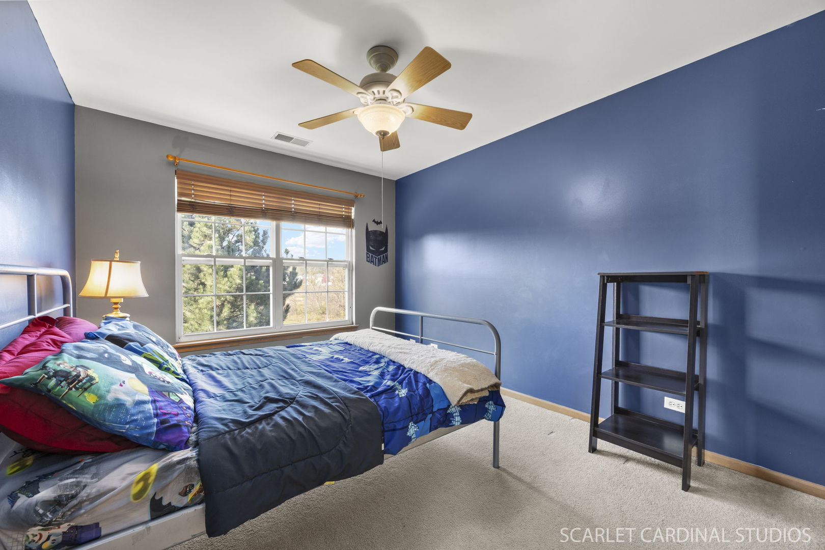 205 Belle Vue Court #B, Sugar Grove, IL 60554