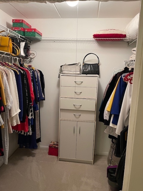 158 E Bailey Road #F, Naperville, IL 60565