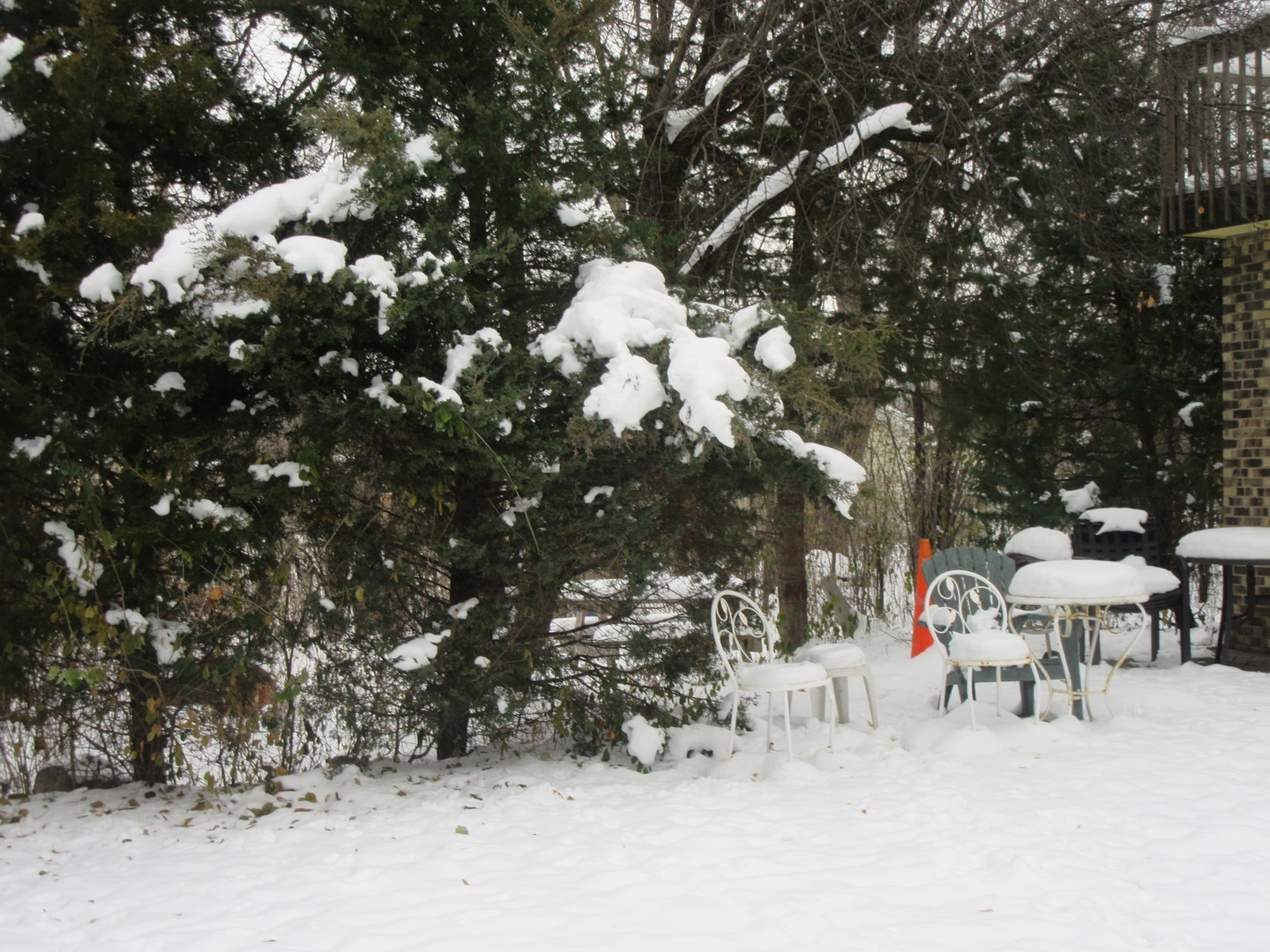 740 N Junior Terrace, Elmhurst, IL 60126